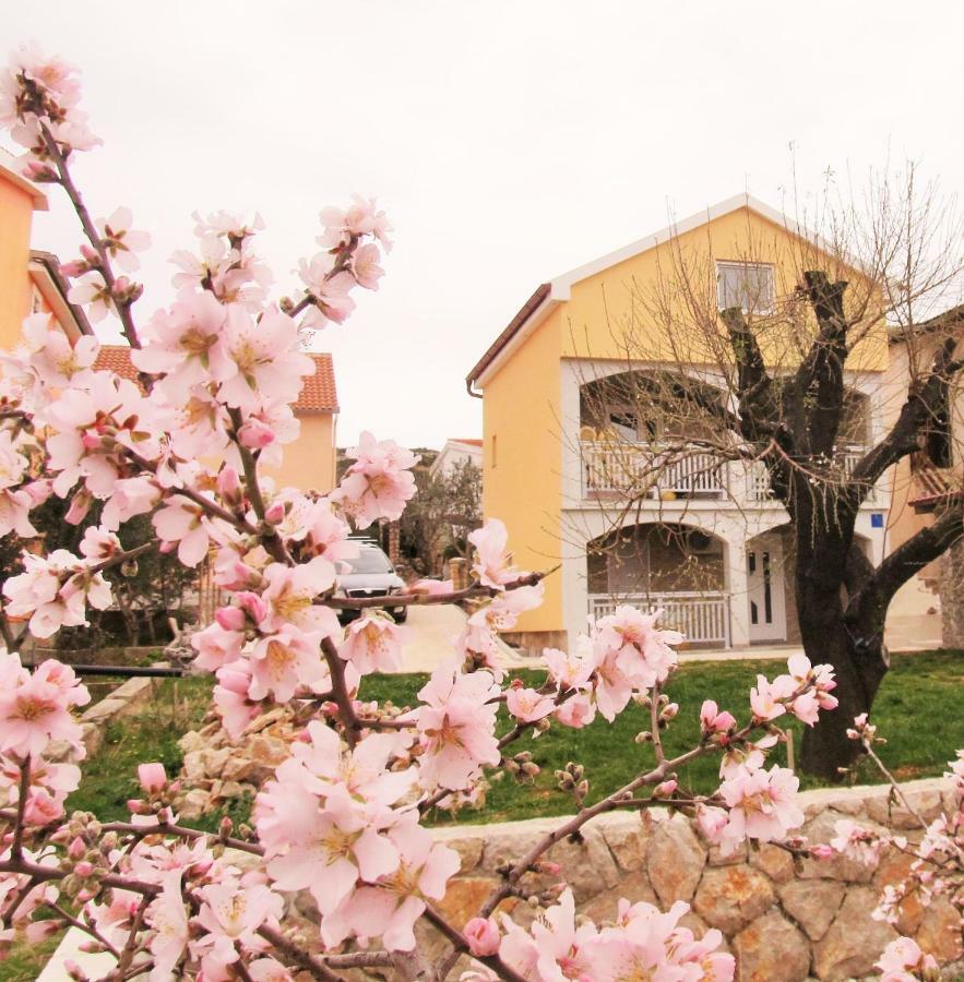 Apartmani Mala Sirena Maslenica Extérieur photo