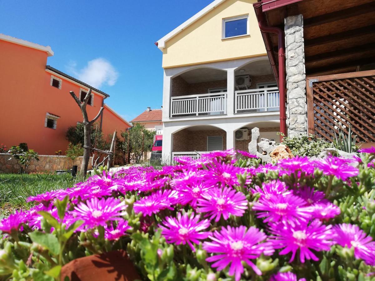 Apartmani Mala Sirena Maslenica Extérieur photo